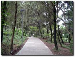 凤山森林公园 (2)_凤山森林公园