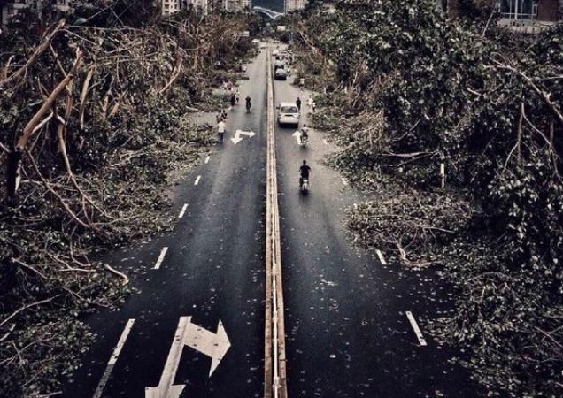 厦门曾经遭遇过的台风