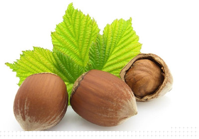 榛子中含有精氨酸