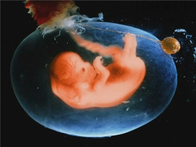 胎儿发育异常的表现