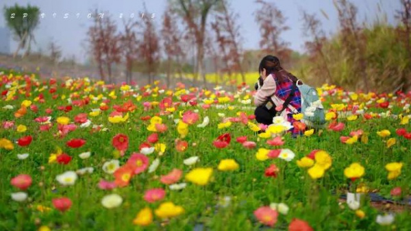 干货来了：集美景点春节游玩指南大全