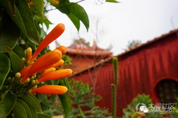 带你走进金庸新版武侠小说里的南少林——泉州少林寺