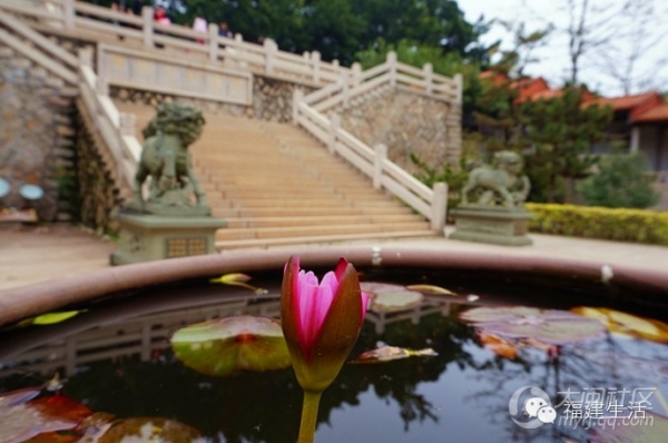 带你走进金庸新版武侠小说里的南少林——泉州少林寺