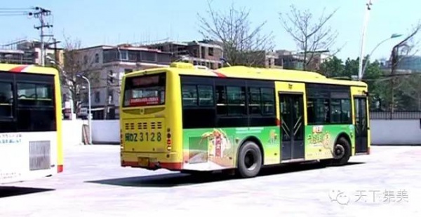 天马路提升改造，你坐的公交车线路调整啦，别搭错车！