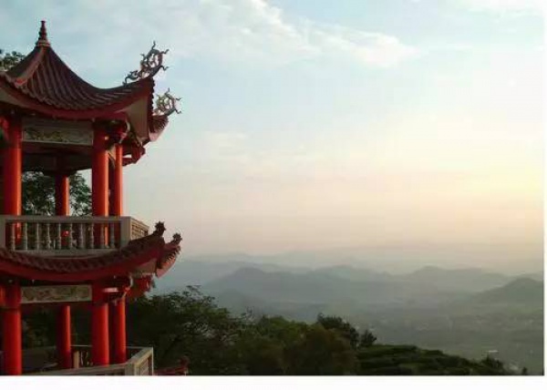 2016厦门同安出游赏花景点大全，收好够用一整年！