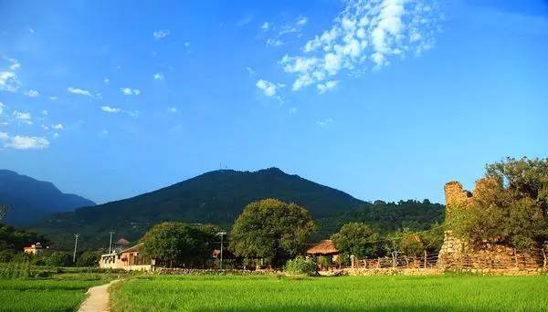 2016厦门同安出游赏花景点大全，收好够用一整年！