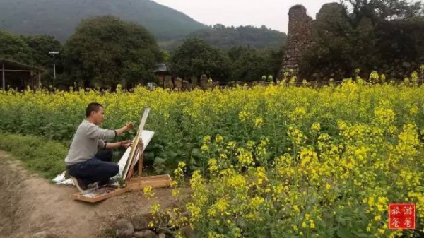 2016厦门同安出游赏花景点大全，收好够用一整年！