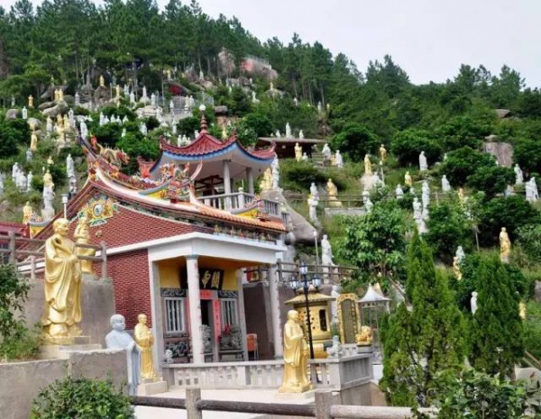 2016厦门同安出游赏花景点大全，收好够用一整年！