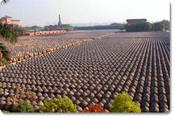 2016厦门同安出游赏花景点大全，收好够用一整年！