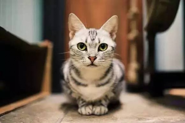 厦门是哪个省的？已传疯，厦门人都顶起！