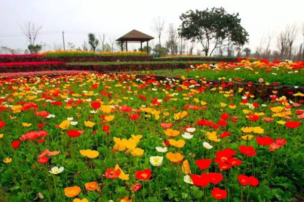 厦门，你就是个大写的B!