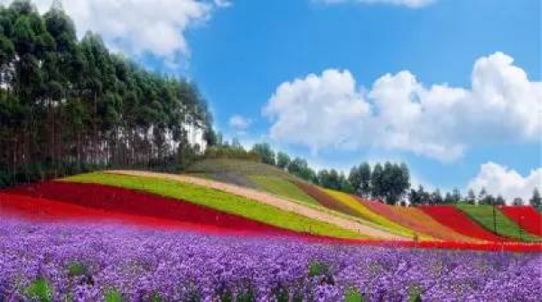 厦门，你就是个大写的B!