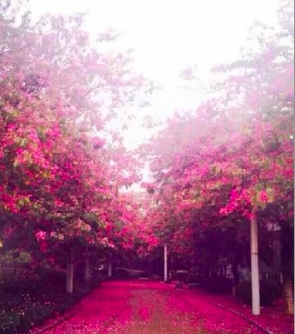 厦门，你就是个大写的B!