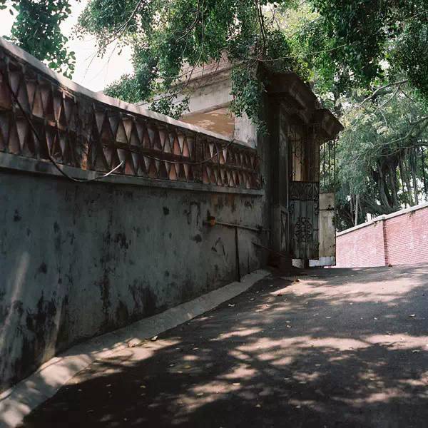 细数厦门最美拍照地，哪些你还不知道？