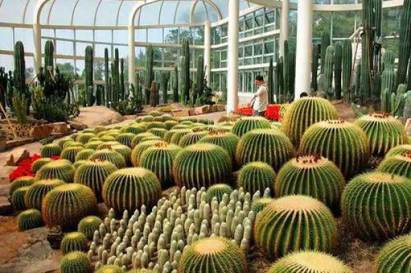 细数厦门最美拍照地，哪些你还不知道？