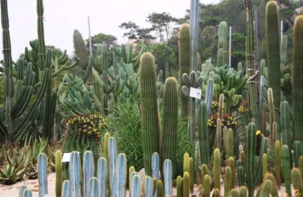 细数厦门最美拍照地，哪些你还不知道？