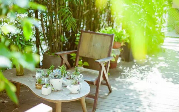 细数厦门最美拍照地，哪些你还不知道？