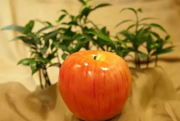 长期吃苹果的女人，竟然会变成这样！惊呆了