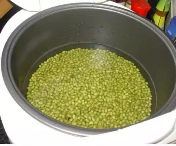 原来“煮绿豆”只要2分钟就开花，白活20多年了！