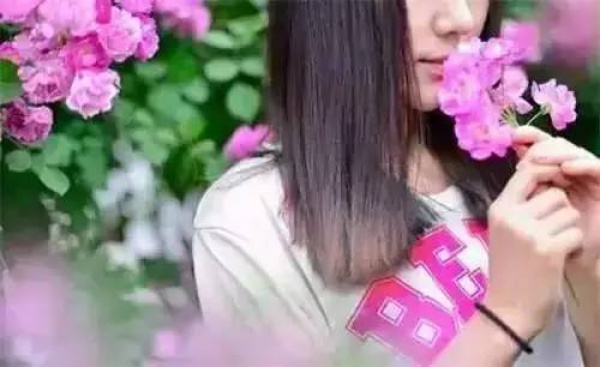 今年春天，厦门这里的樱花最好看！赏花指南getit!附：春季赏花拍照技巧