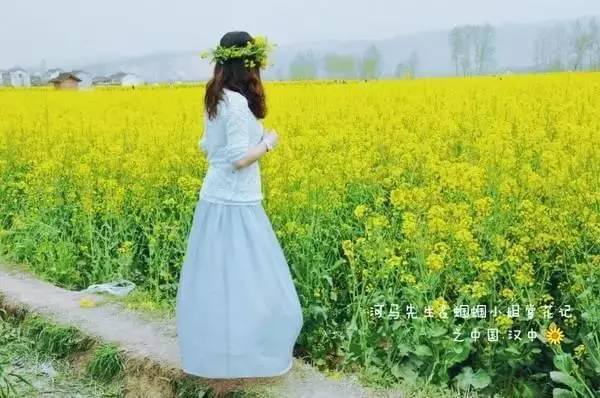 今年春天，厦门这里的樱花最好看！赏花指南getit!附：春季赏花拍照技巧