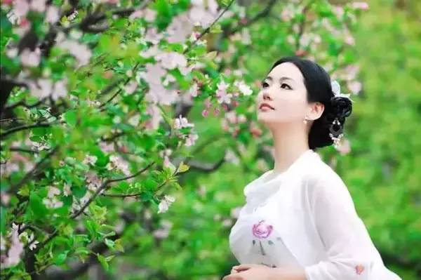 今年春天，厦门这里的樱花最好看！赏花指南getit!附：春季赏花拍照技巧