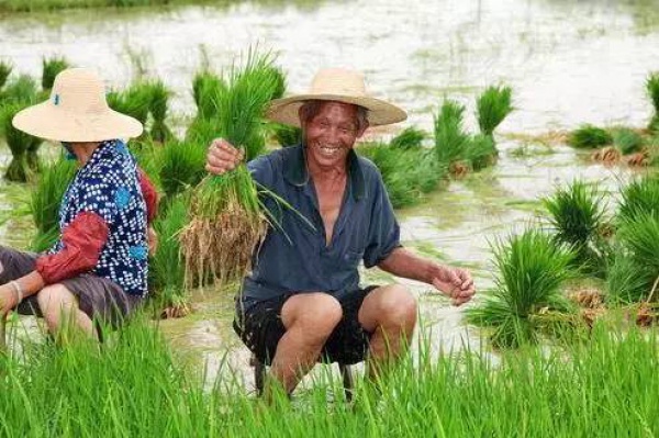 终于等到你：厦门人，你的工资终于要涨了！！！