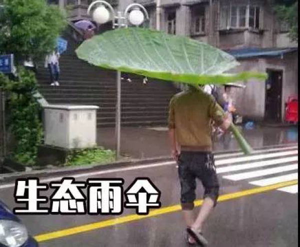 强热带风暴级台风要来了！即将进入福建48小时警戒区！厦门将迎来……