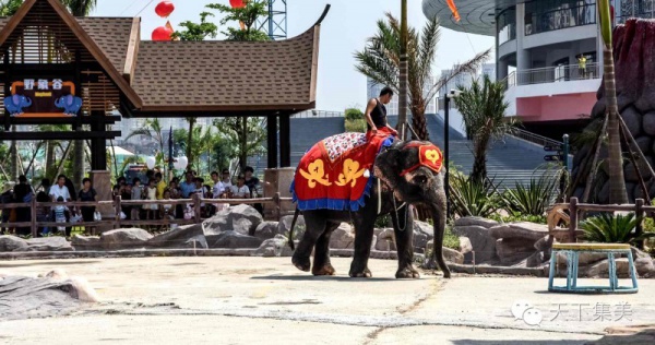 今天，厦门灵玲国际马戏城华丽回归，动物王国敞开大门！