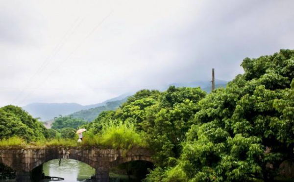 集美周边游丨这个“明朝荔枝”火了600年，落在这个古镇！