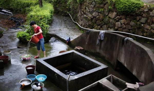 集美周边游丨这个“明朝荔枝”火了600年，落在这个古镇！