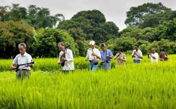 集美周边游丨这个“明朝荔枝”火了600年，落在这个古镇！