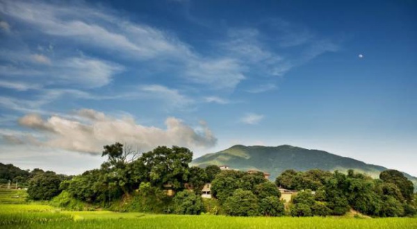 集美周边游丨这个“明朝荔枝”火了600年，落在这个古镇！