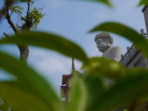 集美周边游丨普照寺，南太武山下的故土情怀