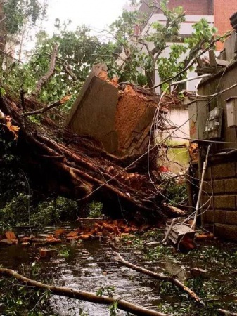 30张图片告诉你,前几天在厦门登陆的台风到底有多牛掰! 30张图片告诉你,前几天在厦门登陆的台风到底有多牛掰!