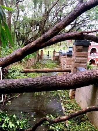30张图片告诉你,前几天在厦门登陆的台风到底有多牛掰! 30张图片告诉你,前几天在厦门登陆的台风到底有多牛掰!