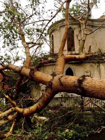 30张图片告诉你,前几天在厦门登陆的台风到底有多牛掰! 30张图片告诉你,前几天在厦门登陆的台风到底有多牛掰!