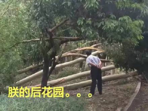 30张图片告诉你,前几天在厦门登陆的台风到底有多牛掰! 30张图片告诉你,前几天在厦门登陆的台风到底有多牛掰!