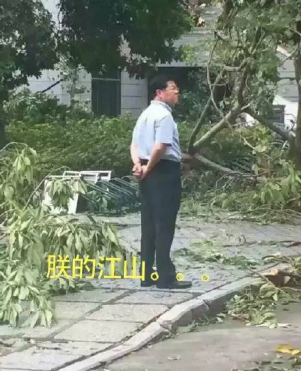 30张图片告诉你,前几天在厦门登陆的台风到底有多牛掰! 30张图片告诉你,前几天在厦门登陆的台风到底有多牛掰!