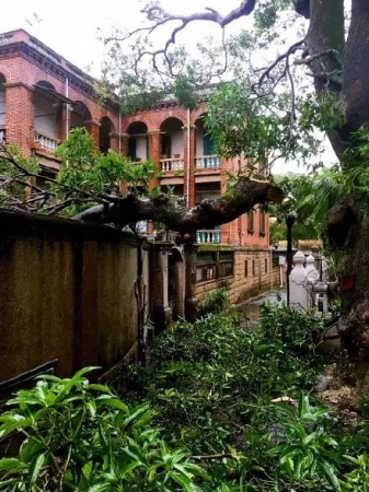 30张图片告诉你,前几天在厦门登陆的台风到底有多牛掰! 30张图片告诉你,前几天在厦门登陆的台风到底有多牛掰!