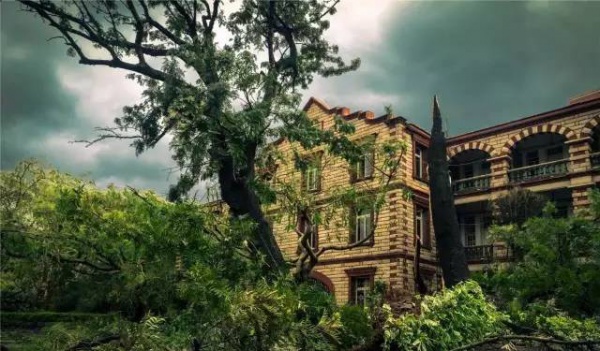 30张图片告诉你,前几天在厦门登陆的台风到底有多牛掰! 30张图片告诉你,前几天在厦门登陆的台风到底有多牛掰!