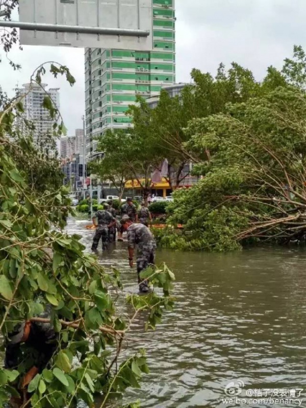 一次台风，终于看清了厦门人的真面目！