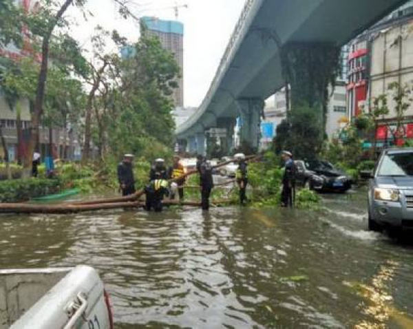 一次台风，终于看清了厦门人的真面目！