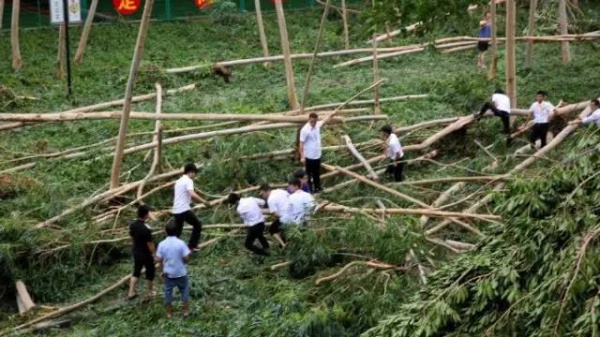 一次台风，终于看清了厦门人的真面目！