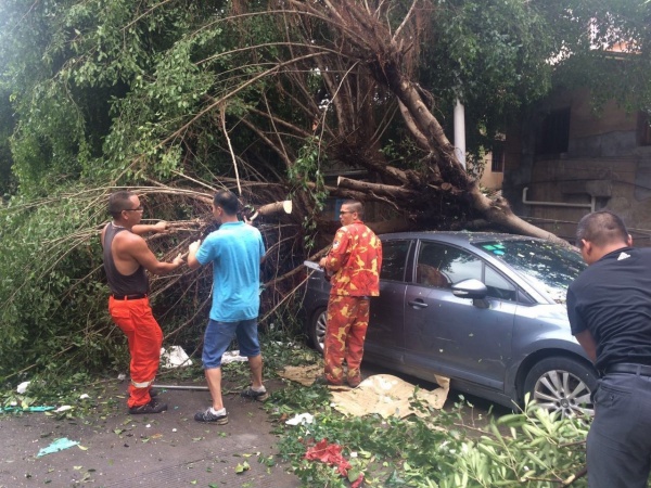 他们用这种方式捍卫集美，总有一幕令你动容！