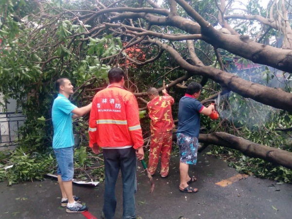 他们用这种方式捍卫集美，总有一幕令你动容！
