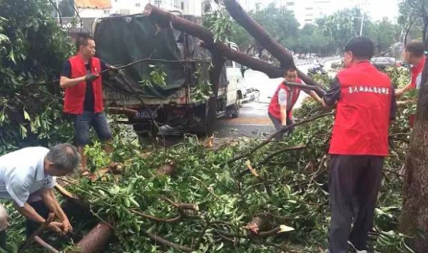 他们用这种方式捍卫集美，总有一幕令你动容！