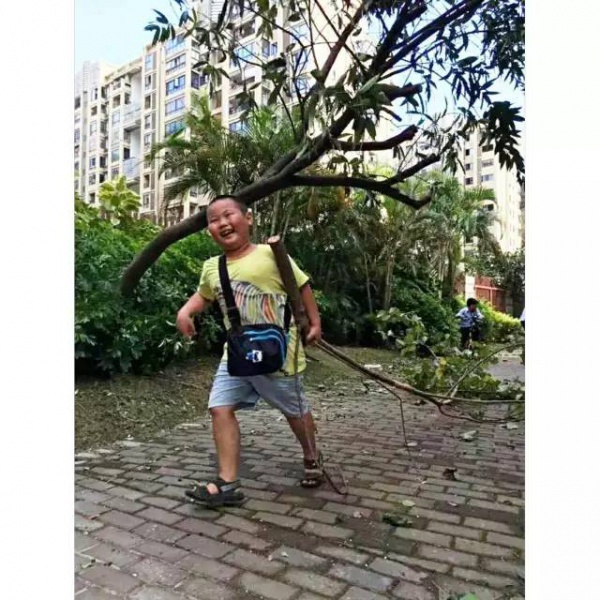 惨遭最强台风蹂躏，厦门人居然还笑得出来