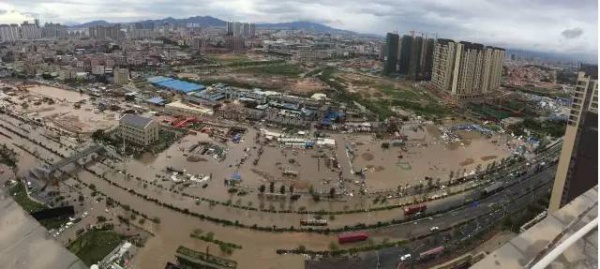 惨遭最强台风蹂躏，厦门人居然还笑得出来