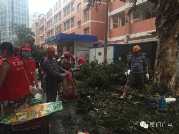 暖心暖城！现在才是厦门最美的样子～你瞧，台风过后“凤凰花”都开了...